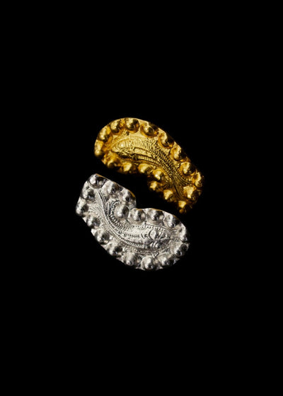 The Medieval Fish mis-matched Brooch in Gold & Silver Tone