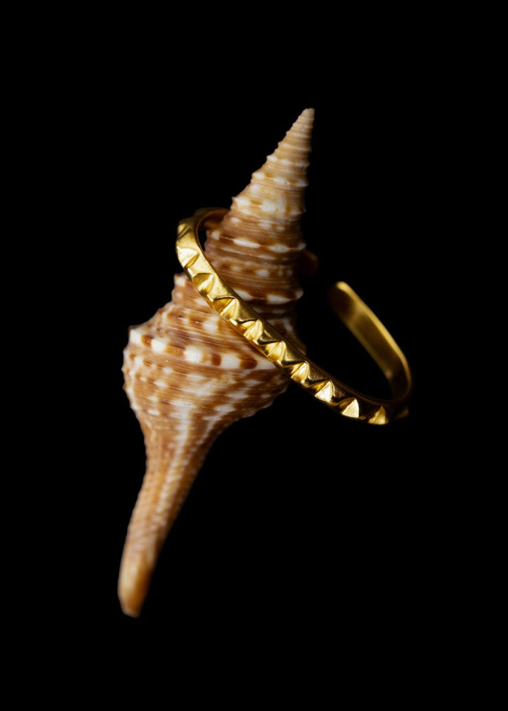 Single Line Pyramid Toe Ring for Two Toes in Gold Tone