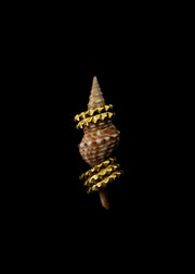 Triple Line Pyramid Toe Ring in Gold Tone
