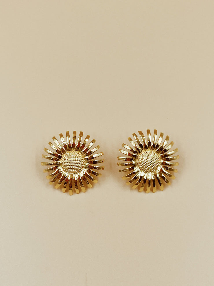 Tender Daisy Studs