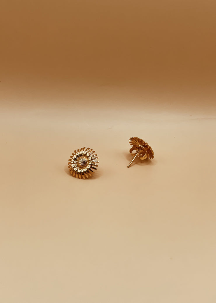 Small Tender Daisy Studs