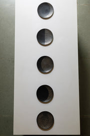 Lunar Medallion Plate Set