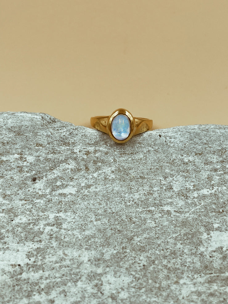 Glow Moonstone Signet Ring | 18kt Solid Gold