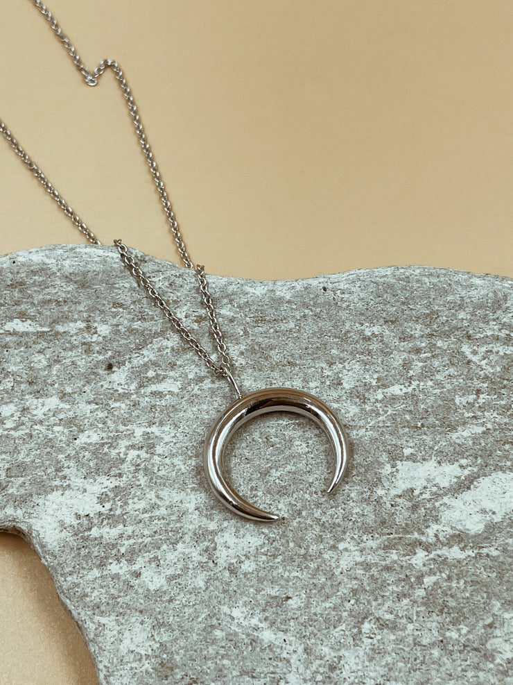 Brass Horn Necklace in Silver Tone