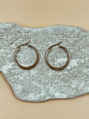 Ale Small Hoops in Silver Tone