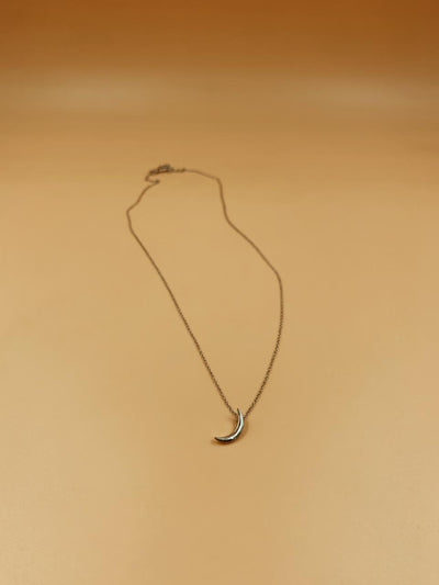 Mini Crescent Moon Sterling Silver Necklace in Silver Tone