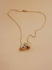 Conchita Conch Shell Necklace