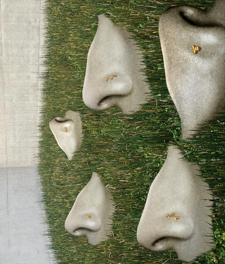 Small Amalia Pica Disc Nose Pin | 18kt Solid Gold